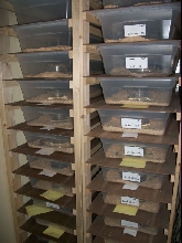 two 12 tub 41qt racks