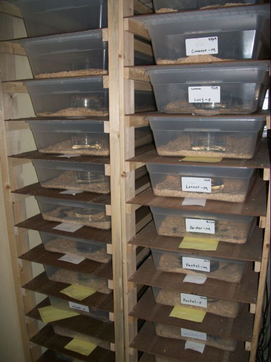 two 12 tub 41qt racks