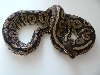 adult blk pastel for sale
