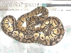 pastel pair 2