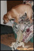iZ's favorite game (part 2)