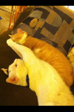 Jack and Oliver