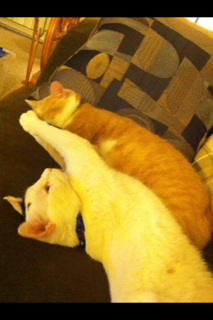 Jack and Oliver