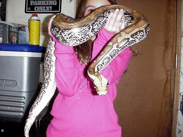 '04 marble borneo