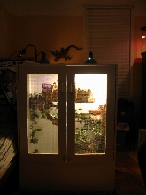new cage