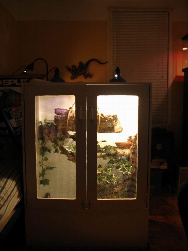 new cage