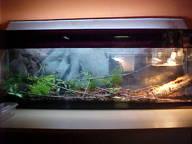 COMMUNITY TANK