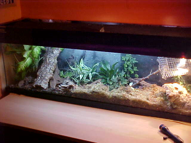 Community Terrarium