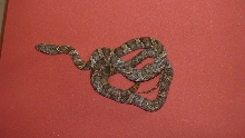 f5