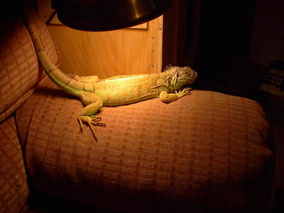 Buddy 12/17/02