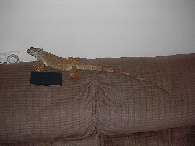 Buddy on 3/19/03