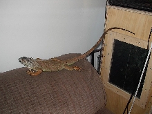 Buddy on 3/19/03