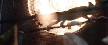 Phaedra 1-29-03