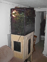 Chameleon Cages