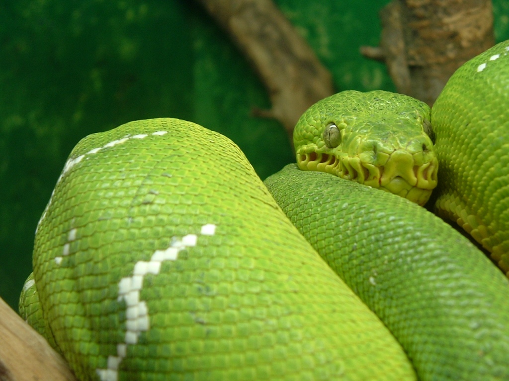 ETB @ Houston Zoo