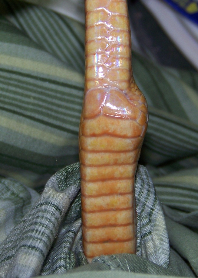 Strange lump 2
