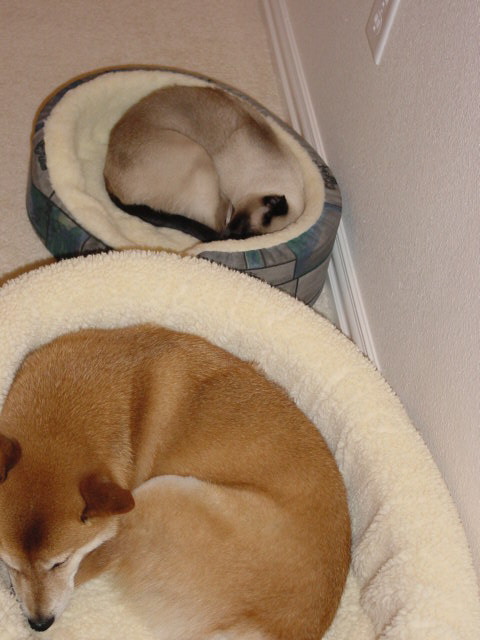 My Babies