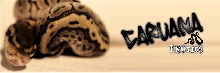 Caruana Exotics