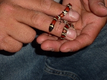 baby milk snake