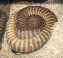 invert2