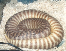 invert3