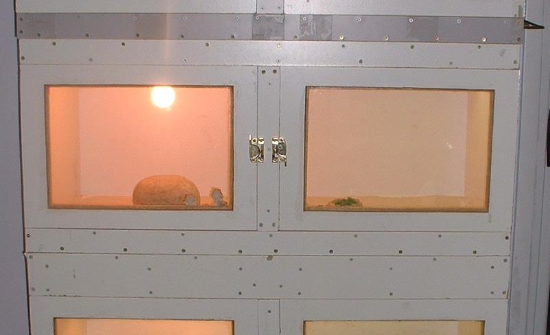 Homemade cages