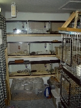 rodentarium