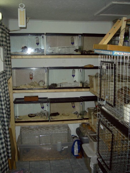 rodentarium