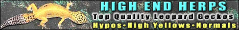 My banner