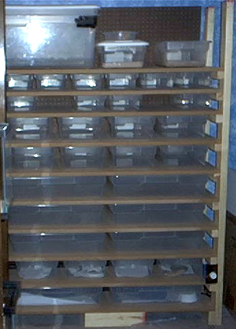 Leo Rack