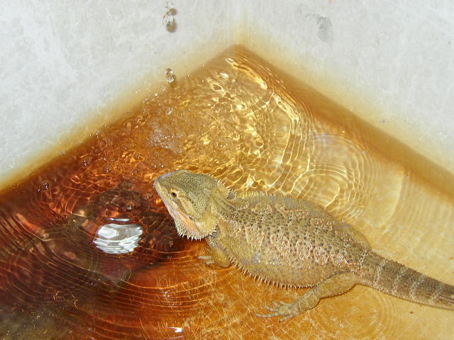 BATHTIME