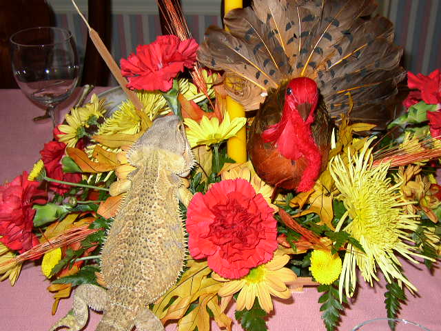 HAPPY THANKSGIVING!!
