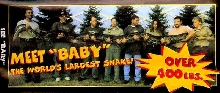 baby the burm