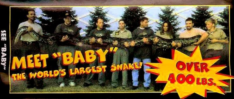 baby the burm