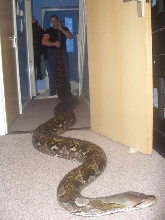 rosie 21ft 8in retic