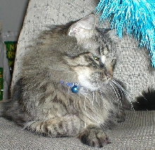 Xander