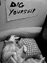Dig Yourself