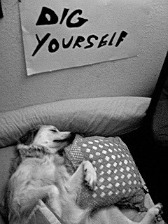Dig Yourself