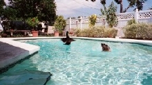 I love to splash