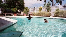 I love to splash
