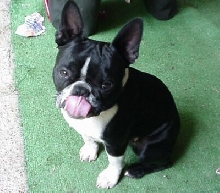 Sherman