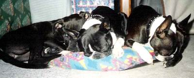 sleeping together
