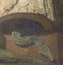 Need Help Identifying