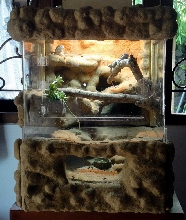 Designed for Herpetiles