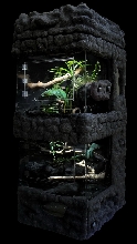 Reptile Terrarium
