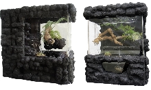 Javarium in Black sand