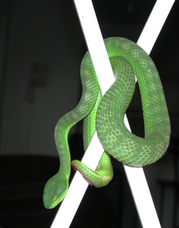 Another pic of her
