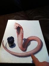 3D cobra snake painting