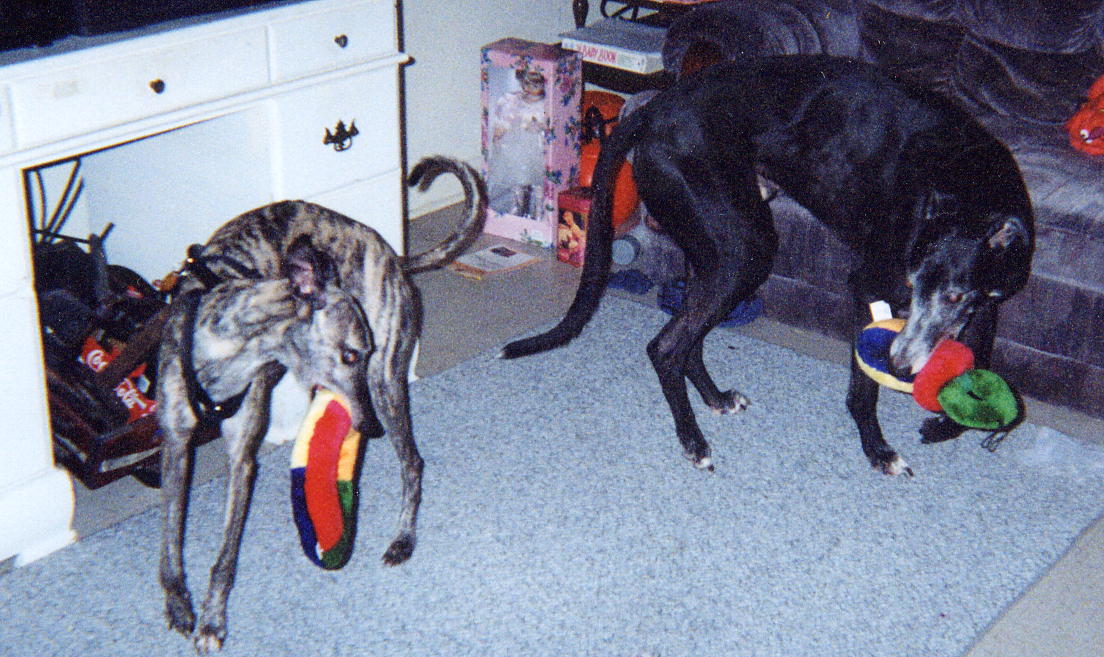 Hey, that's mine!