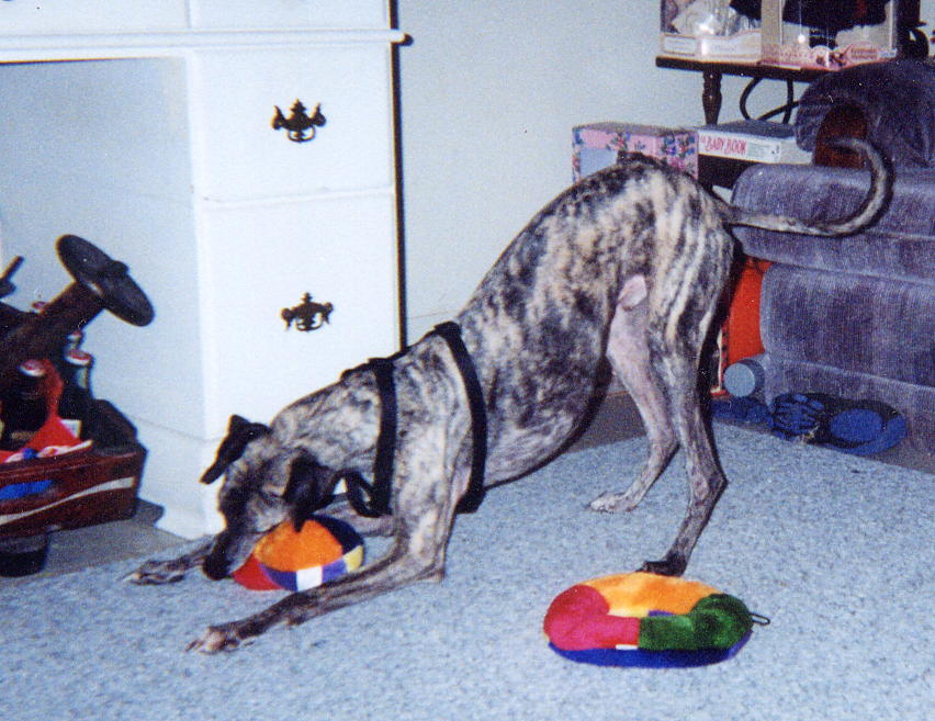 Zues playing